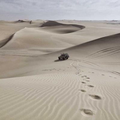 Front Strut Assembly (Pair)