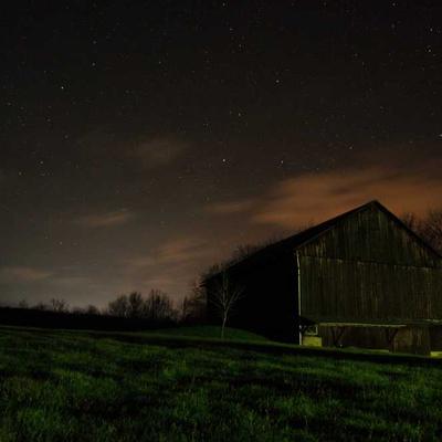 Fuel Injector Set (4-Pack)