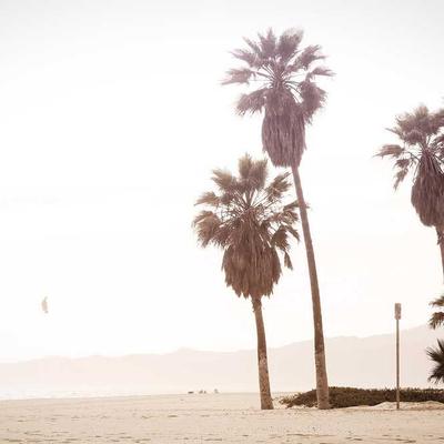 High Mileage Oil Change Kit