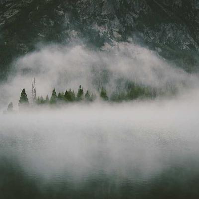 Stainless Steel Brake Line Kit